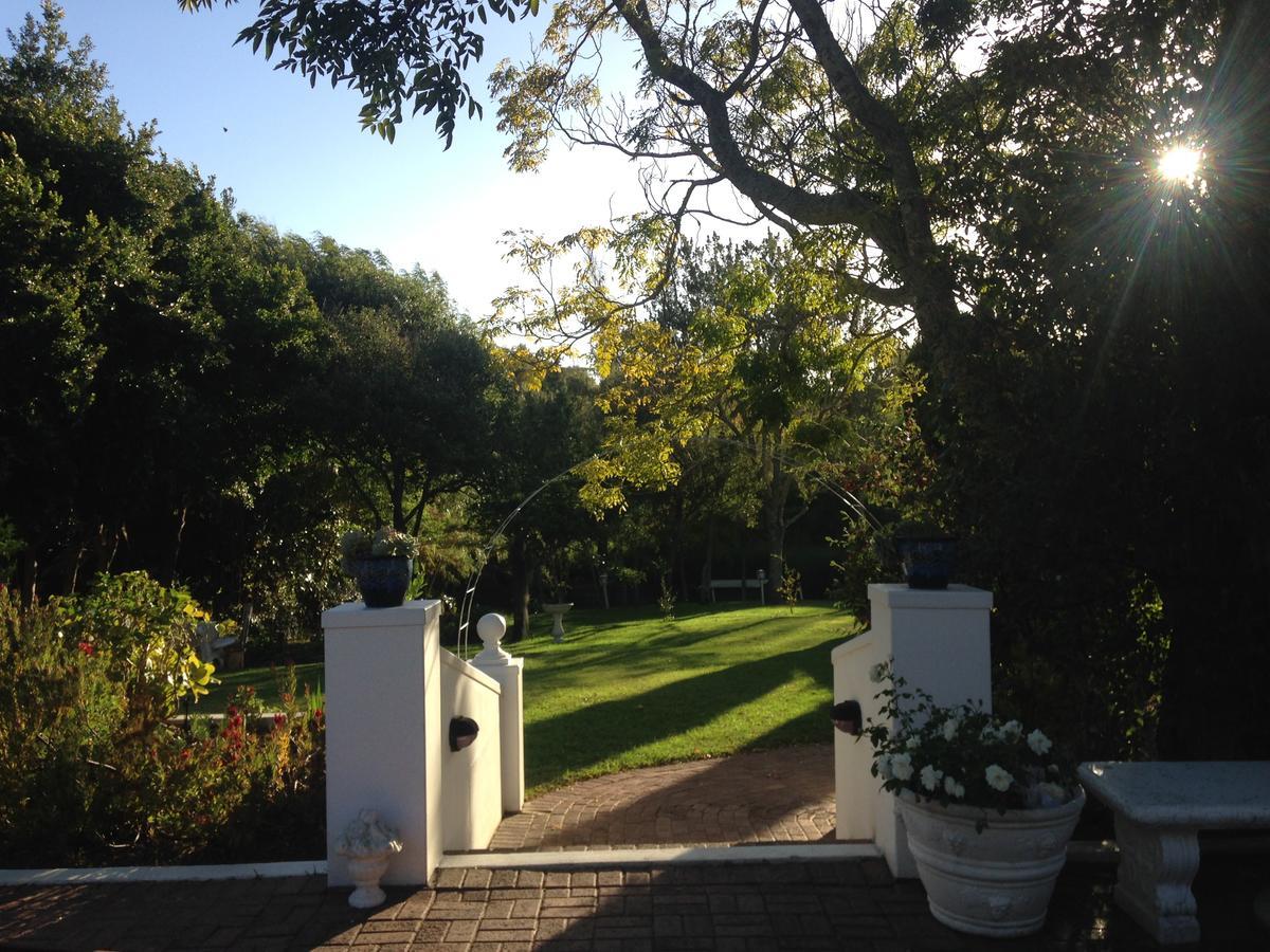 Constantia Spring Bed & Breakfast Eksteriør bilde