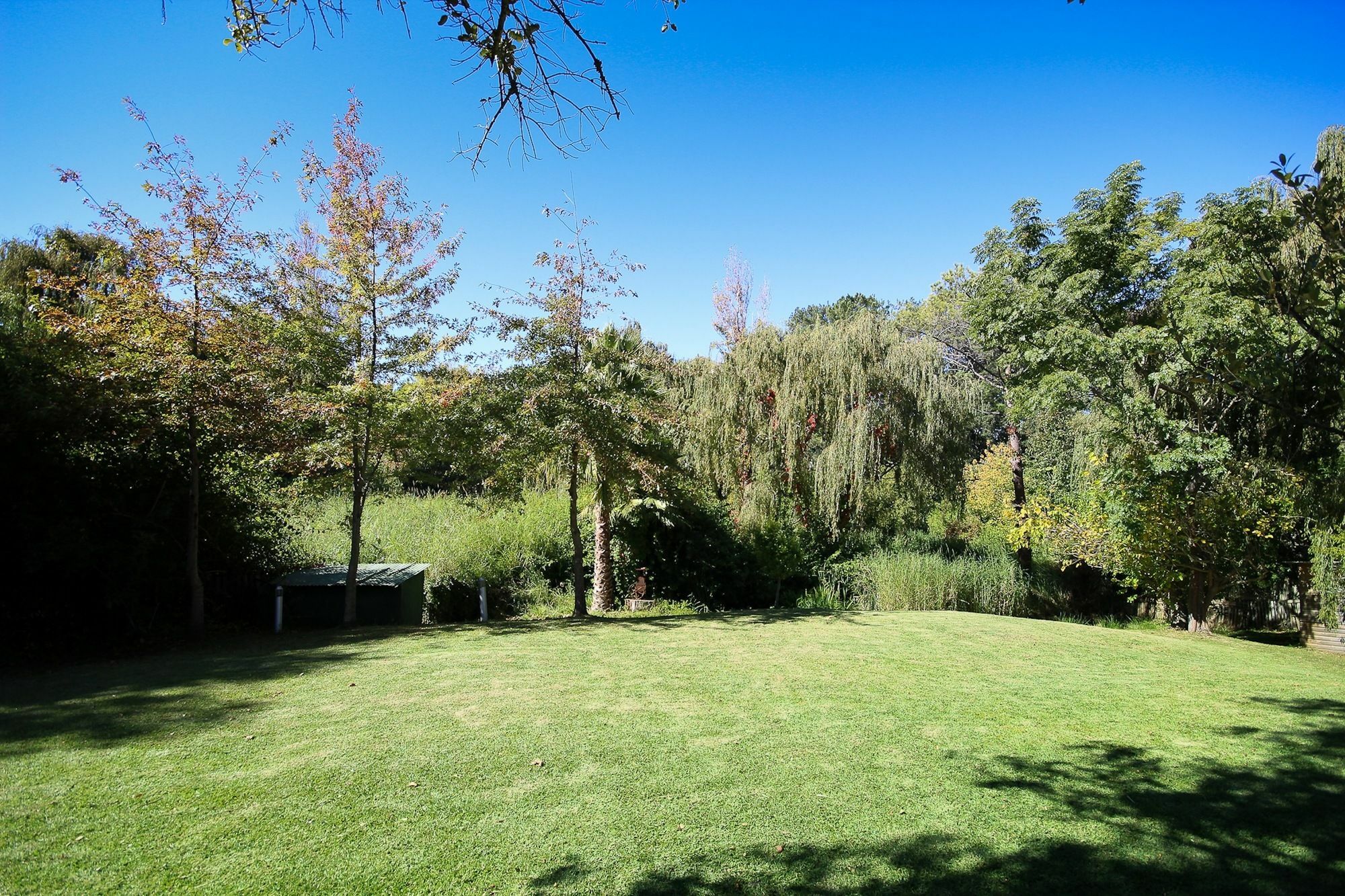 Constantia Spring Bed & Breakfast Eksteriør bilde
